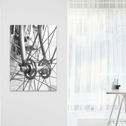 גלגל אופניים צילום