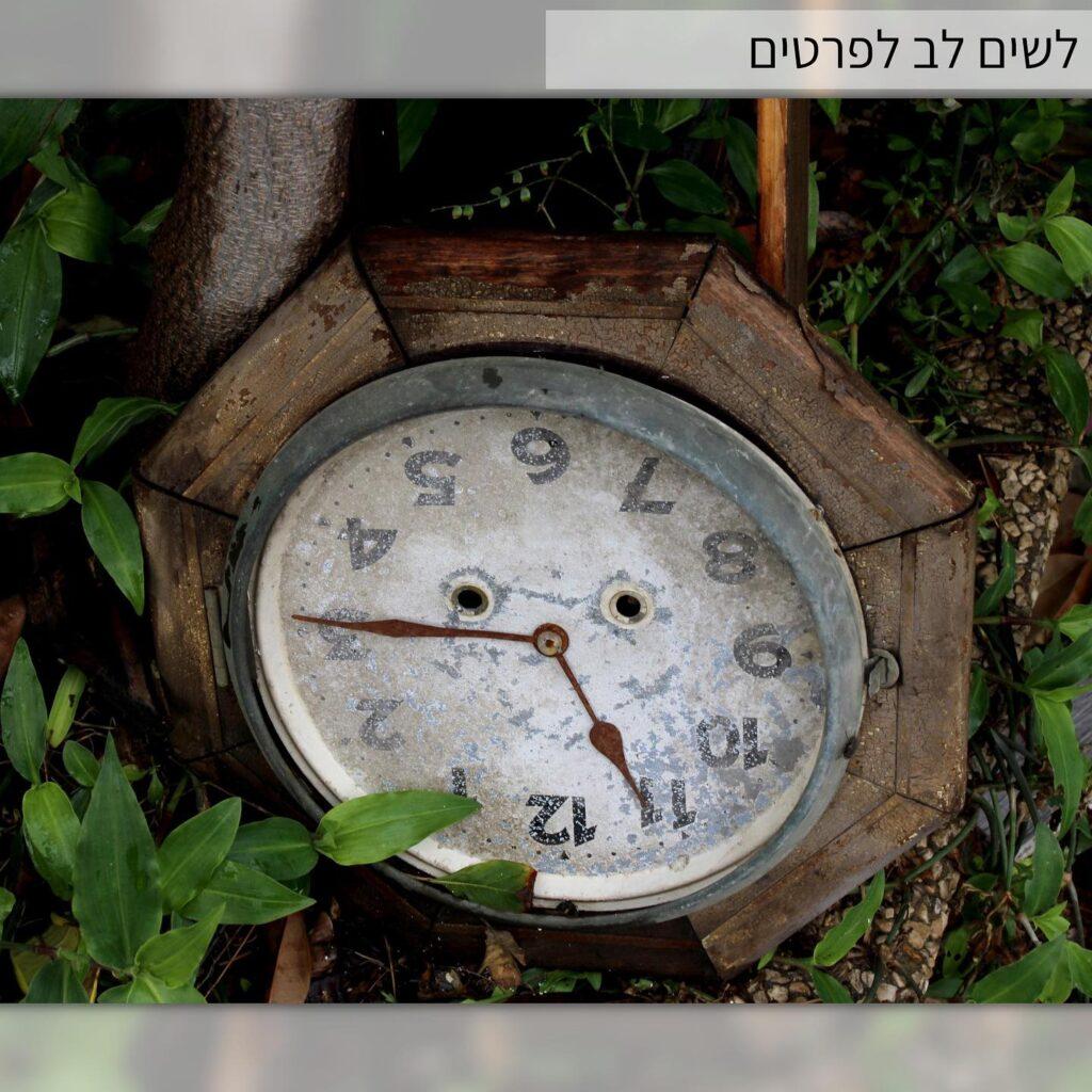 375221950 18300031873141805 7931900955311408035 n