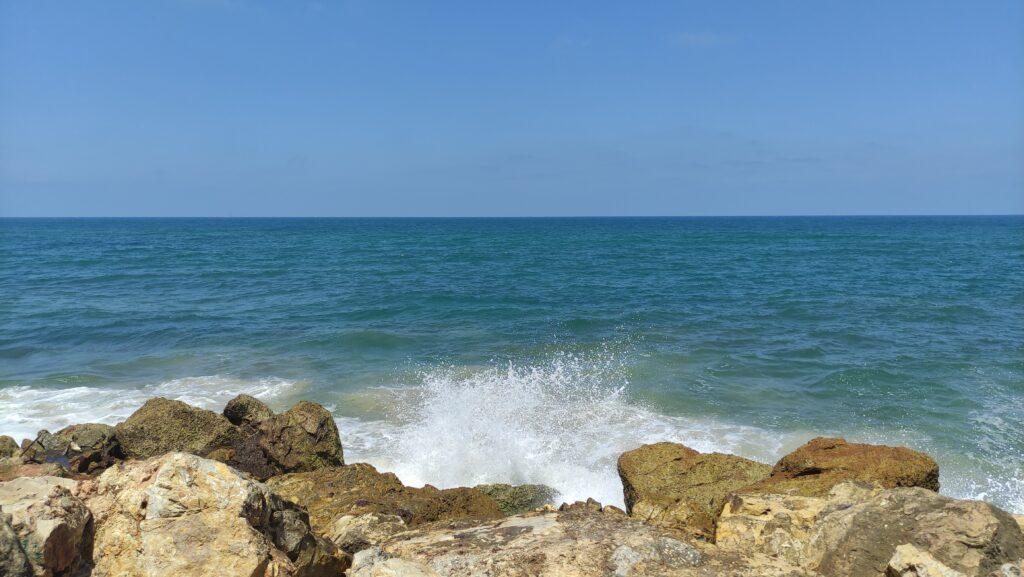 IMG 20210717 113653 1