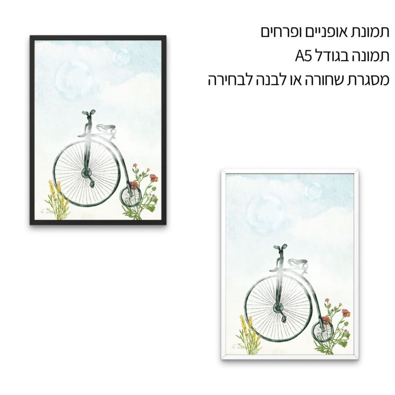 אופניים ופרחים