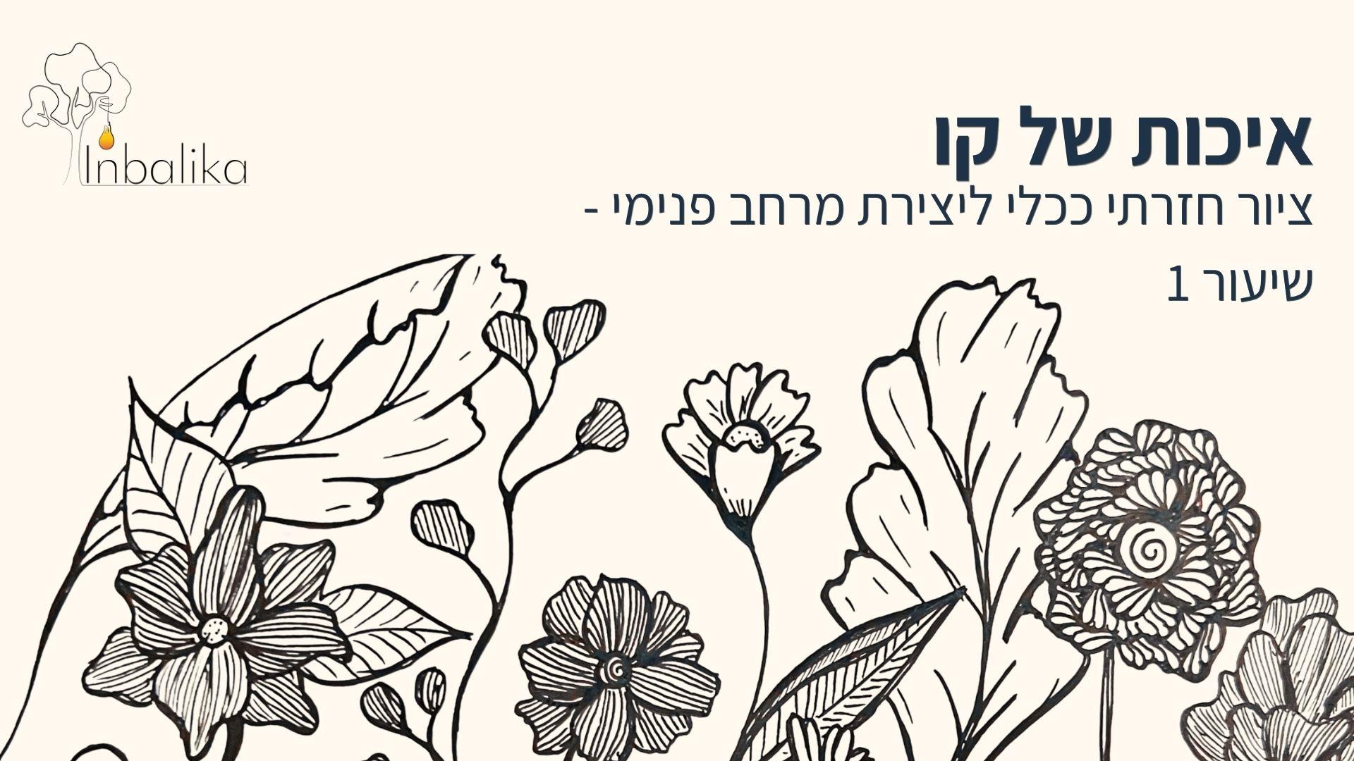 דודלינג אונליין שיעור #1 איך ניגשים לדף