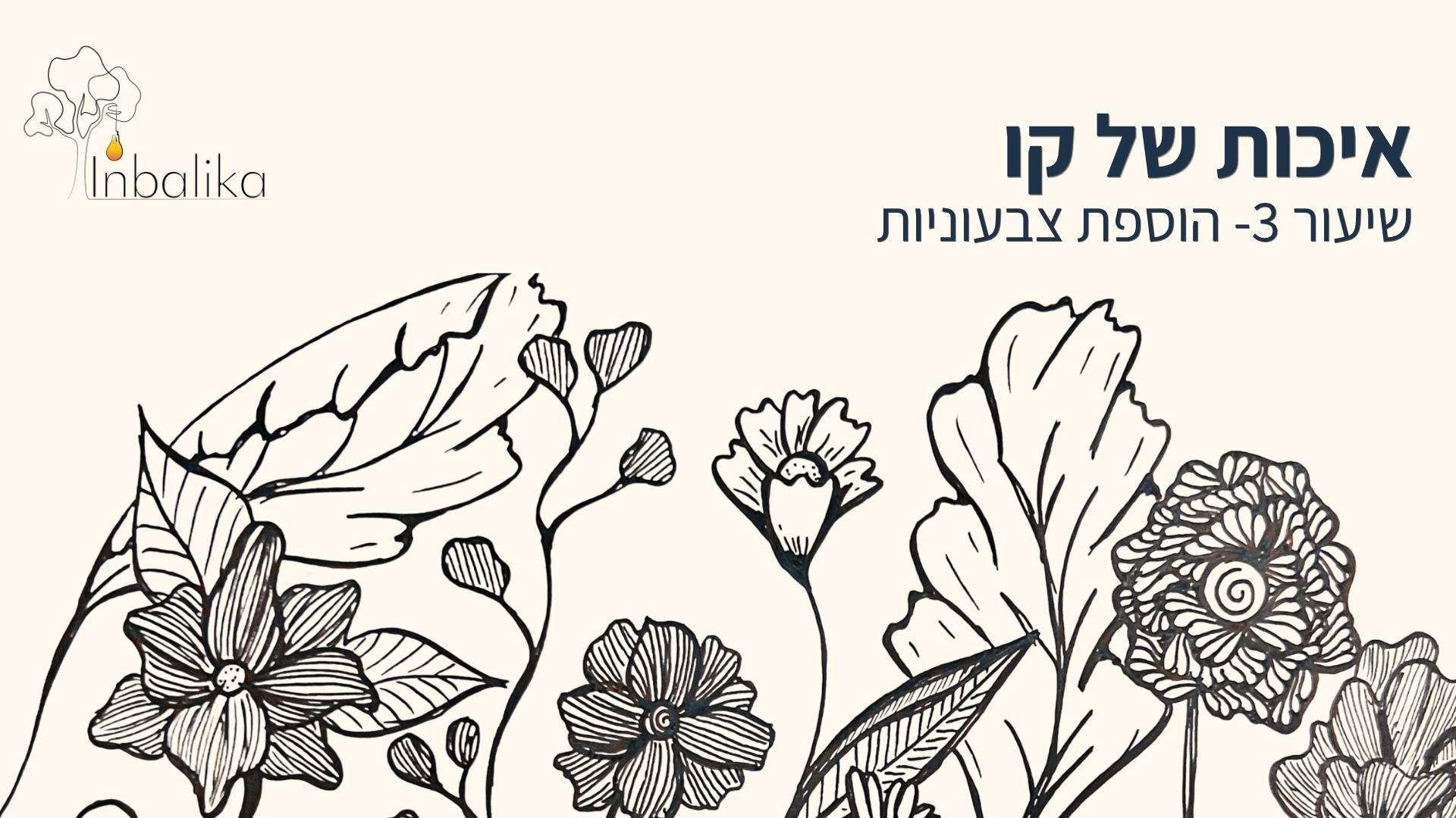 דודלינג אונליין שיעור #3 13/5/26